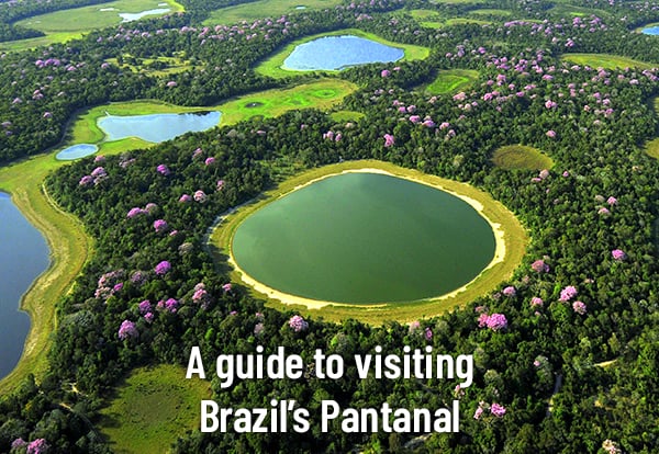 4.Brazil Pantanal