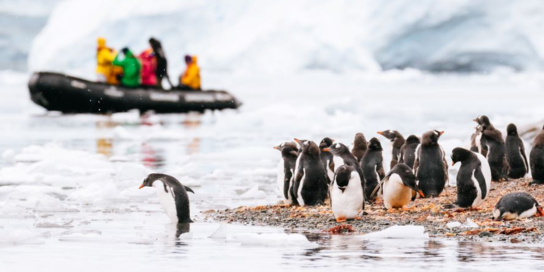 Antartica OCeanwide (1)