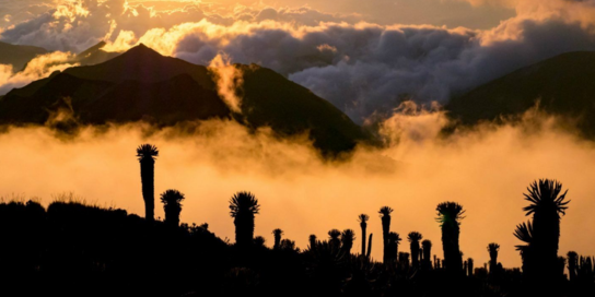 Colombia-Mar-05-2025-11-55-52-8915-AM