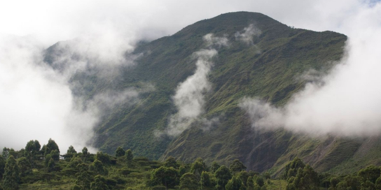 Ecuador (3)