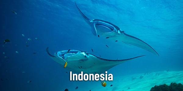 Experiences 2019 NL Indonesia