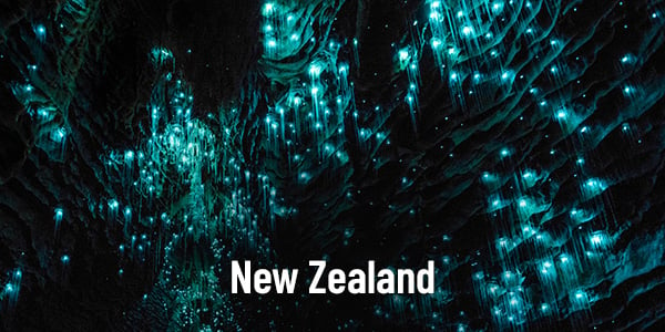 Experiences 2019 NL NZ