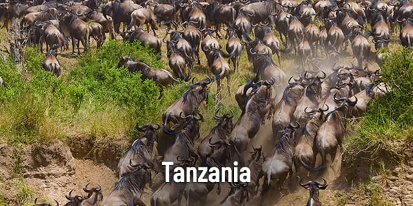 Experiences 2019 NL Tanzania