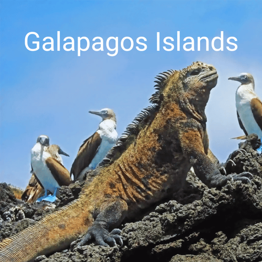 Galapagos islands