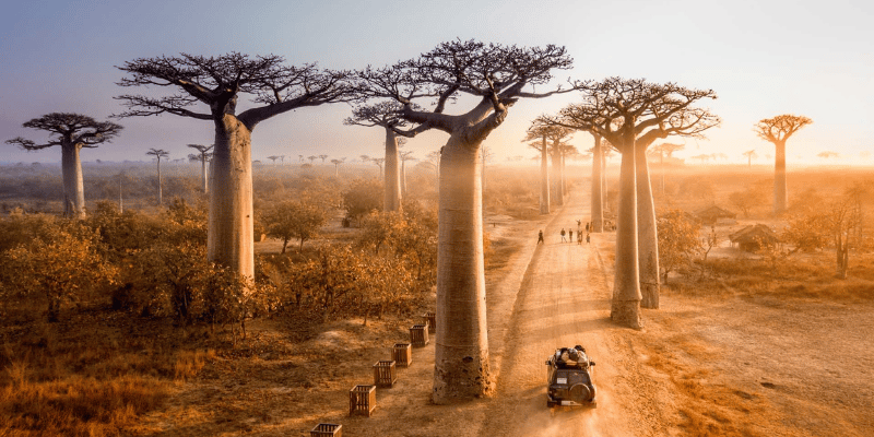 Madagascar-Nov-29-2023-09-27-18-0800-AM