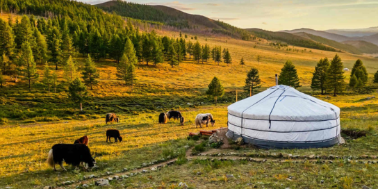 Mongolia 3