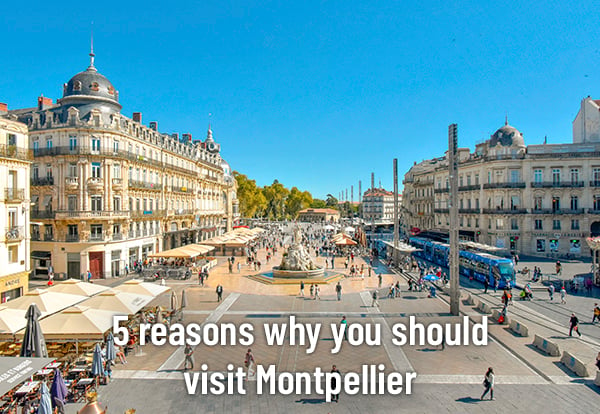 Montpellier France NL