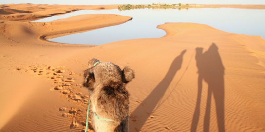 Morocco-Oct-31-2024-10-44-42-4309-AM