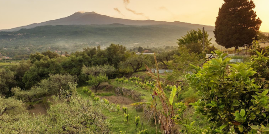 Mount Etna © Shutterstock