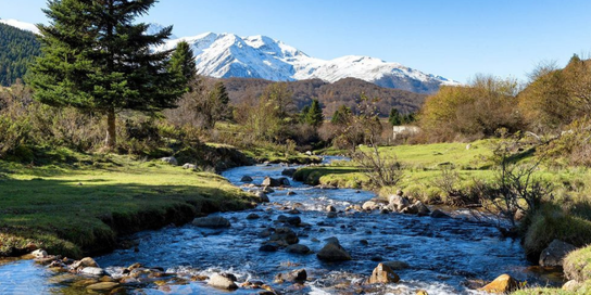 Newsletter image - 2025-06-23T171005.525