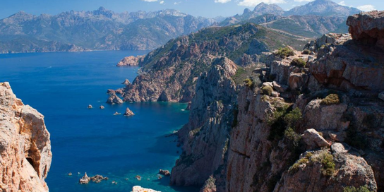 Newsletter image - 2025-06-23T172019.630