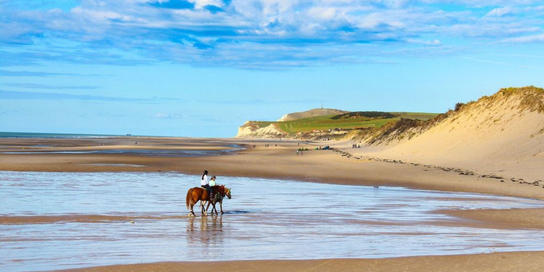 Newsletter image - 2025-06-23T172253.743