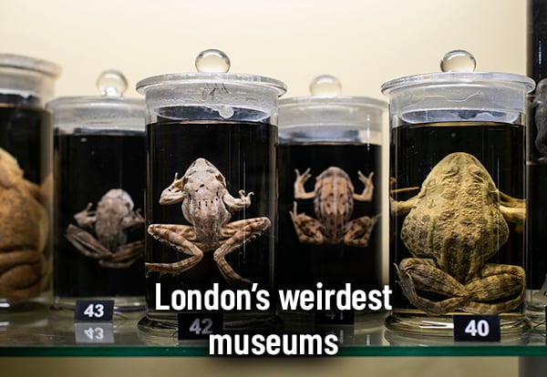 RG NL London weird museums