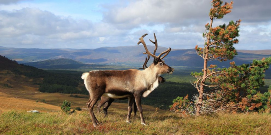 autumn scotland