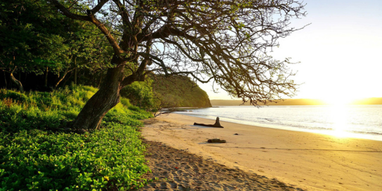 costa rica beaches