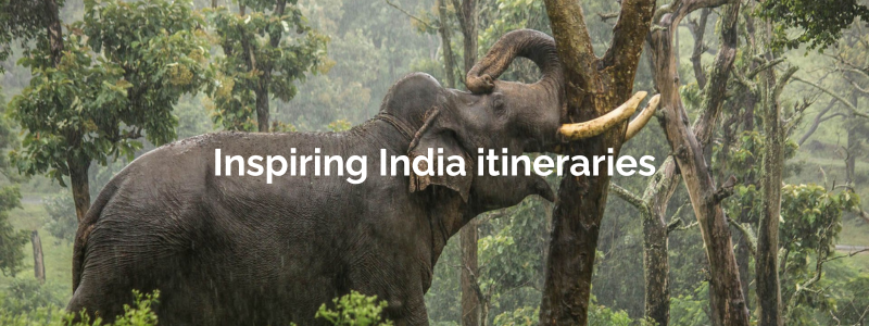 india itineraries