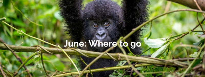 june where to go