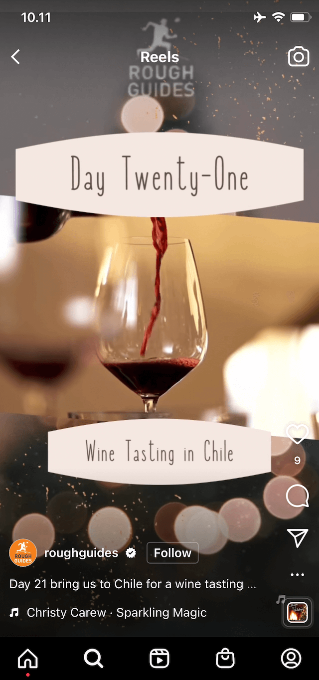 Expert Christmas Chile wine tasting