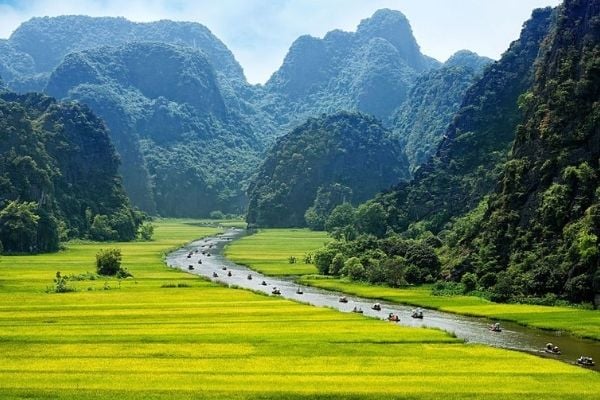 Vietnam large RG